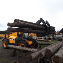 Timber gripper